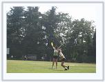 IMG_4164 * 3072 x 2304 * (3.45MB)