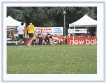 IMG_4416 * 3072 x 2304 * (2.75MB)