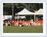 IMG_4509 * 3072 x 2304 * (2.29MB)