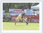 IMG_4730 * 3072 x 2304 * (2.04MB)